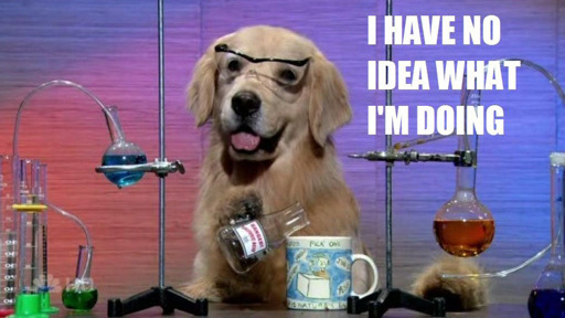 Meme showing a golden retriever in a lab, pouring from an Erlenmeyer flask into coffee cup, with the text "I have no idea what I'm doing"., 
