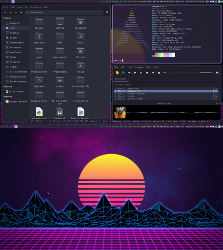 The first image is my active desktop, with a status bar along the top, Thunar to the left, Hyfetch in the top right, and qmmp in the bottom right. Hyfetch shows I am running Arch Linux, and displays the non-binary pride flag. The terminal window is transparent with blurring. qmmp is playing "Nintendo 64" by Alex G. All of the windows have rounded corners and use the Dracula colour palette. The second image is my blank desktop, with a status bar along the top and vapourwave wallpaper.